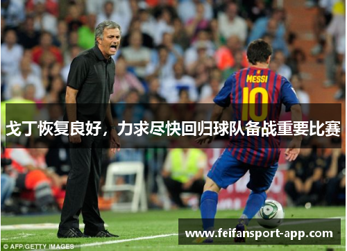 戈丁恢复良好，力求尽快回归球队备战重要比赛
